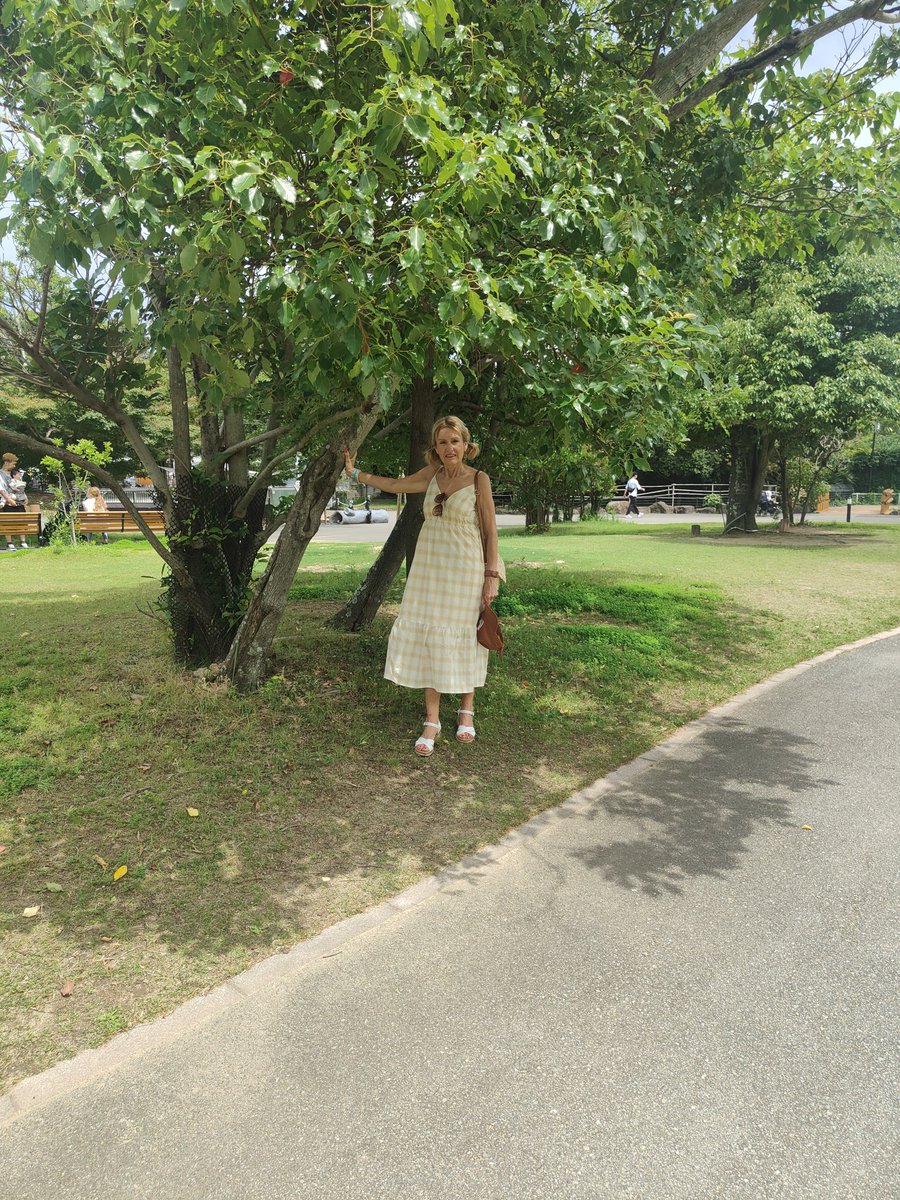 mkdb66's tweet photo. Shirahama https://t.co/ZB55iVG0z1