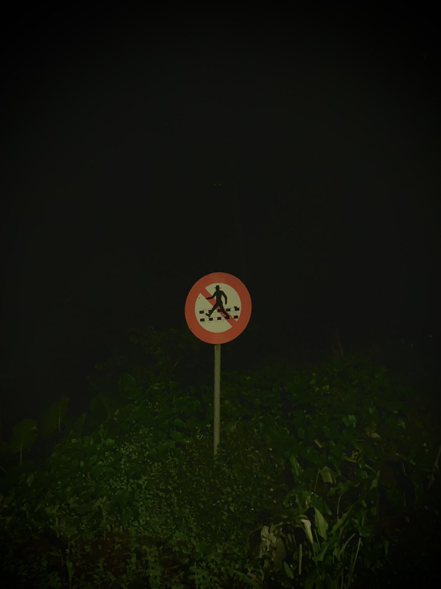 天黑才上山整個又黑又霧已經很恐怖了

想說拍照紀錄結果拍這個更詭異了靠北
人家想下山ㄌ