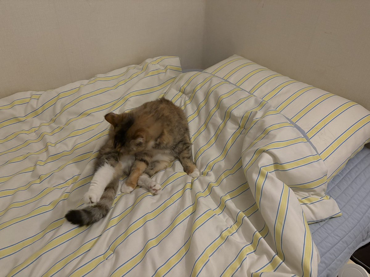 집사는서서자면되,