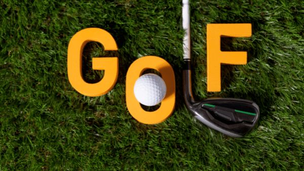 Lake Shore Adult & Community Education tweet media