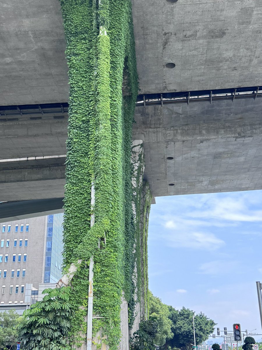 隔壁小王 tweet media