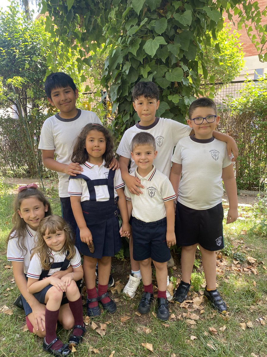 Colegio Adoratrices Logroño tweet media