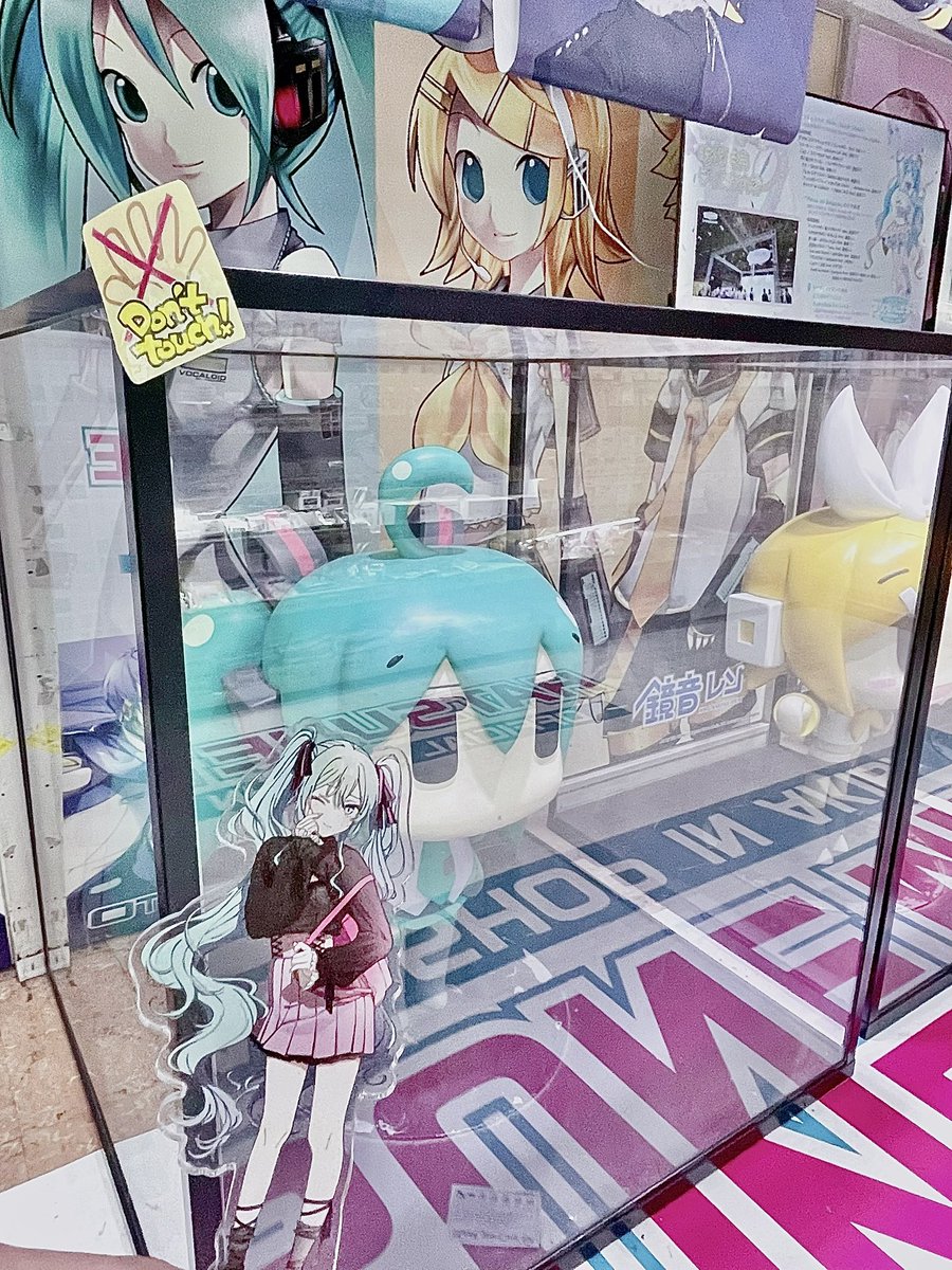 もるあ。 tweet media