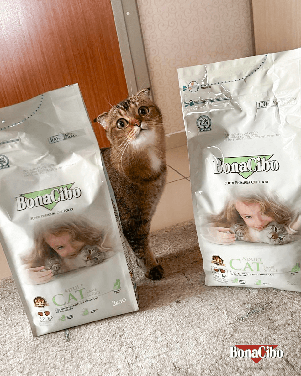 Mamalar geldiyse poz vermek bizden! 😇😹❤

📸: Vesile Küçükfırtına