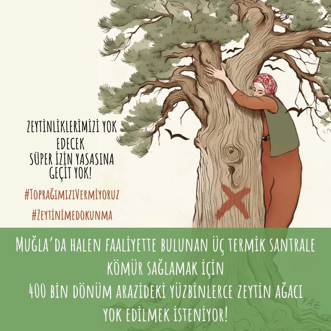 #ZeytinimeDokunma