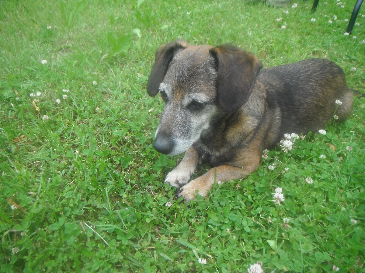 Priecīgu līgošanu un daudz garšīgos no Lakija