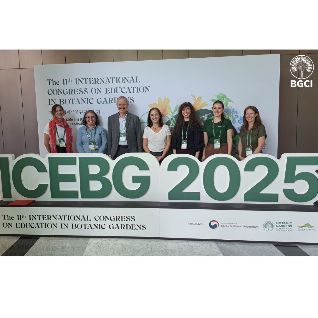 bgci's tweet image. A heartfelt thanks to our generous funders! Seven bursary participants from Uganda, Argentina, Ecuador, Mexico, Poland, Lithuania and Germany were able to attend the 11th ICEBG congress with help of the Sylvia Scholarship Fund and Naples Botanic Garden.  

#11ICEBG #ICEBG2025