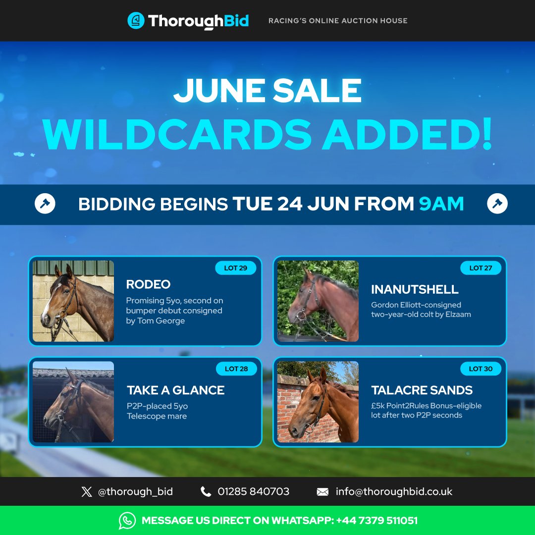 p2p.ie (@irishp2p) on Twitter photo Tomorrow's <a href="/thorough_bid/">ThoroughBid</a> June Sale includes 3YO Stores, placed Pointers, plus a number of potential Open Lightweight and Hunter Chase horses for next season.
๐๐ฎ๐๐ฎ๐น๐ผ๐ด๐๐ฒ - thoroughbid.co.uk/collection/61 Tomorrow's <a href="/thorough_bid/">ThoroughBid</a> June Sale includes 3YO Stores, placed Pointers, plus a number of potential Open Lightweight and Hunter Chase horses for next season.
๐๐ฎ๐๐ฎ๐น๐ผ๐ด๐๐ฒ - thoroughbid.co.uk/collection/61