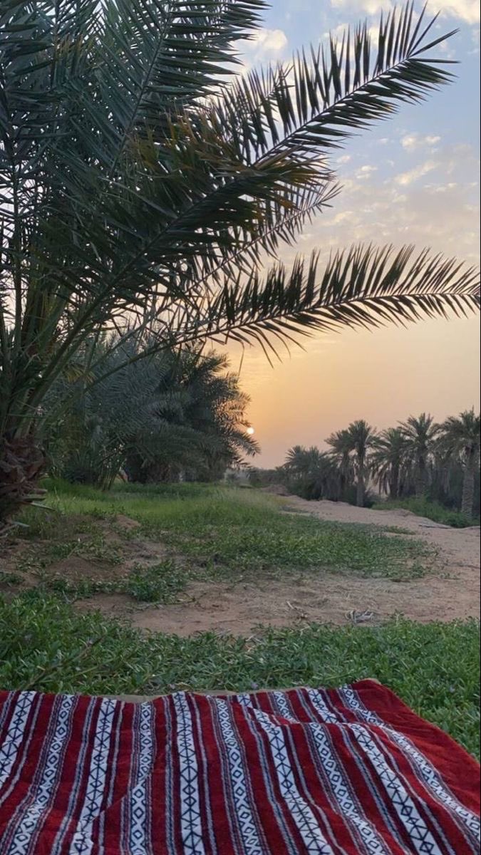 ˚♡˚ 🦌 ˚♡˚ tweet media