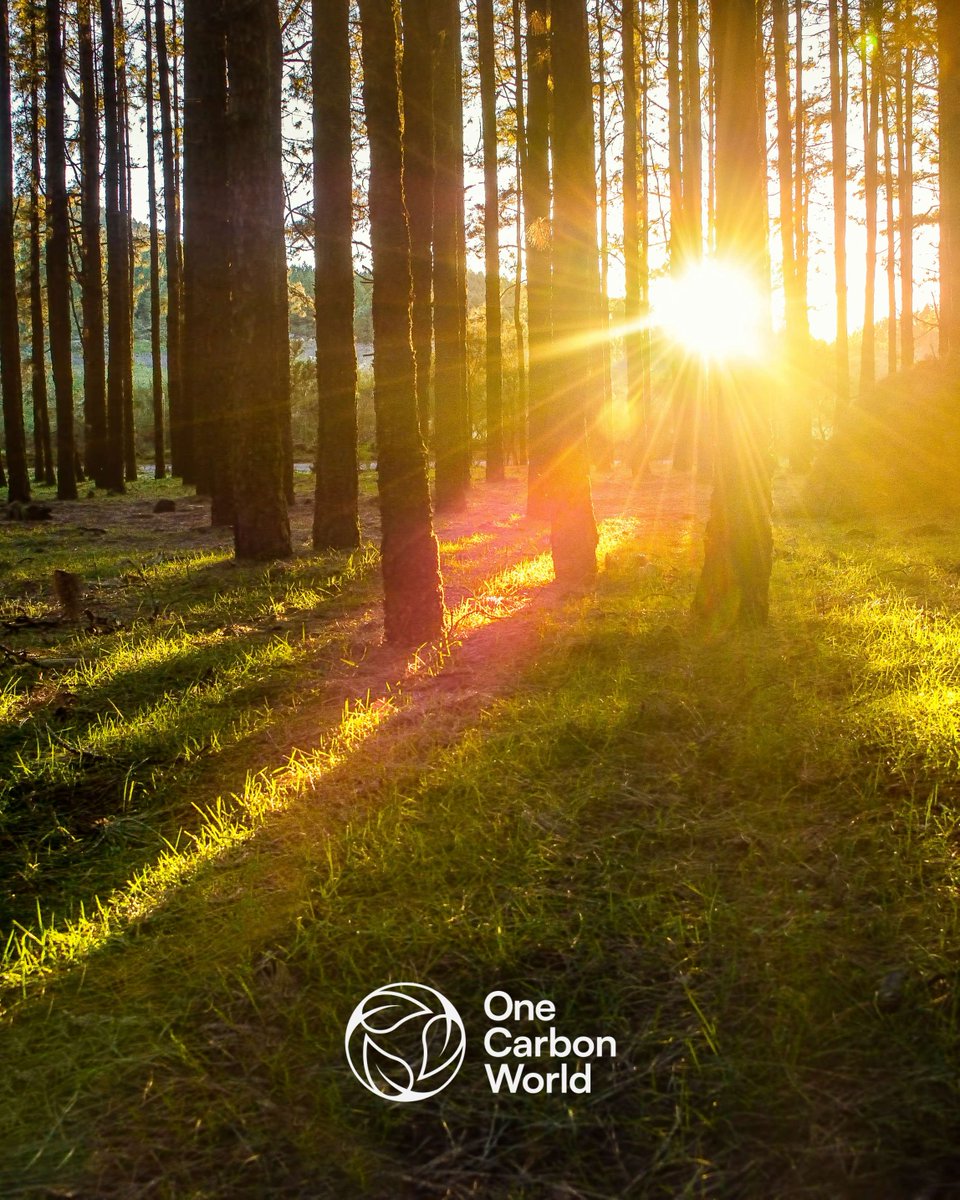 🌍 Green Finance: Funding the Climate Transition 🌱 Green finance plays a pivotal role in funding the climate transition. At London Climate Action Week (LCAW), discussions will center around how public and private sectors can collaborate to... londonclimateactionweek.org