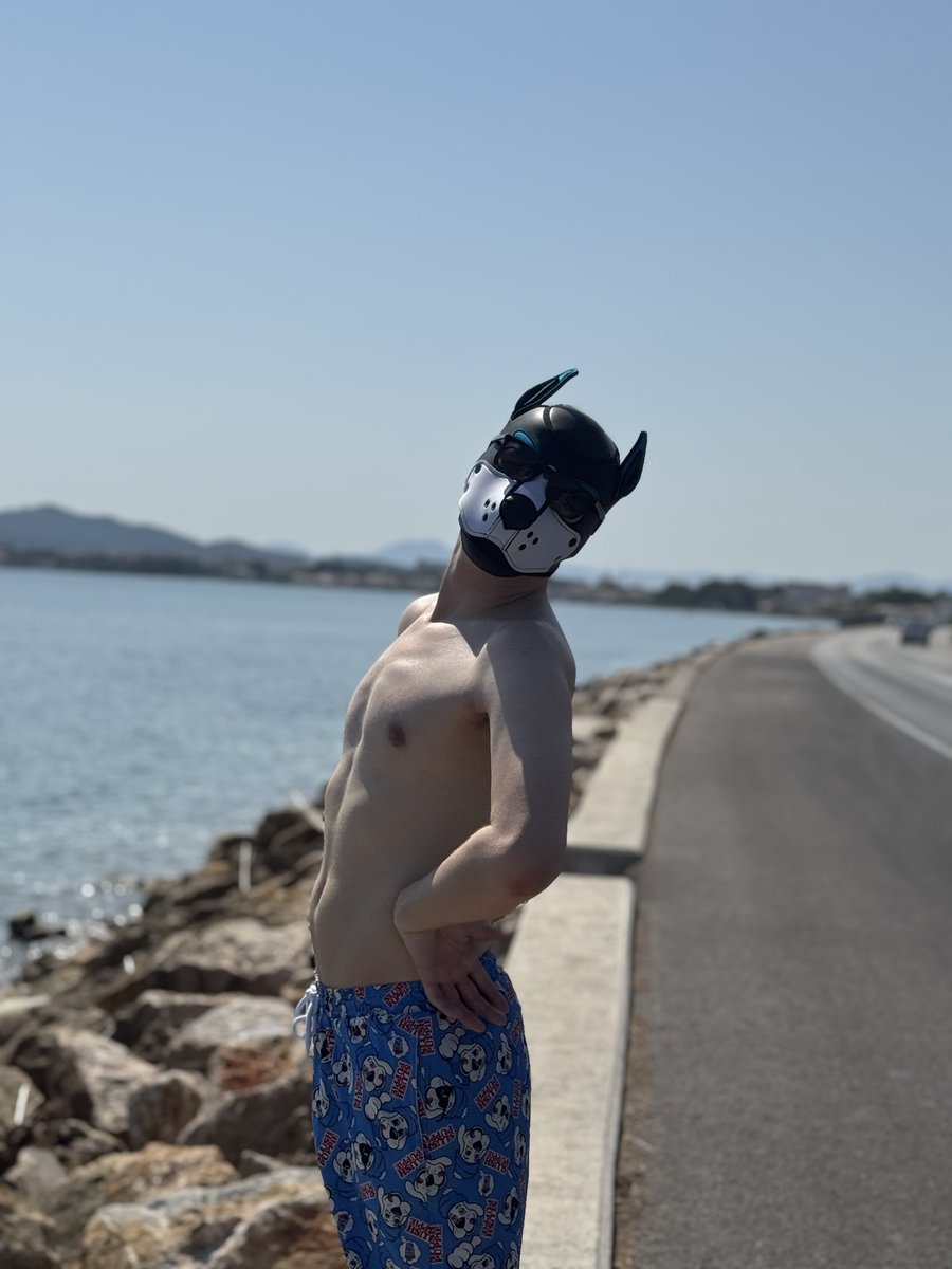 Dogs on Tour!!! 🐶

Mallorca 🇪🇸

Sunnies out on the sea front. Slush puppy hours 🌊😎

📸 <a href="/Pup_Lyor/">Pup Lyor</a>