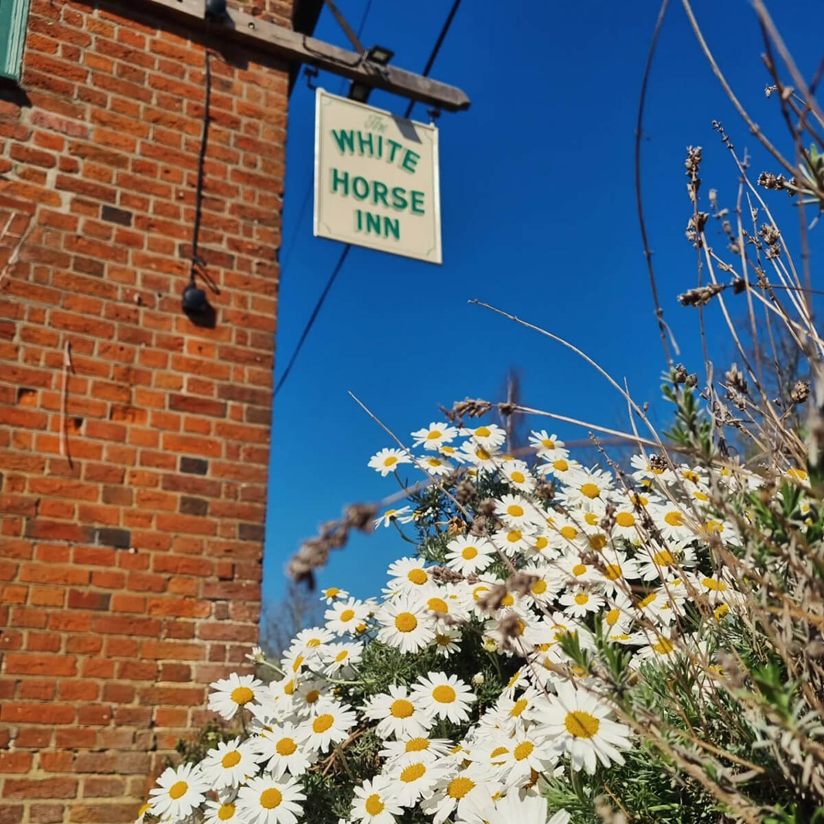 @ATJbeer looks ahead to the summer, with a meditation on the season and the breweries that embody it 🌞🌳🍺

🤓 Read on page 78 in this month's issue
📸: 1st <a href="/idealdaybrewery/">Ideal Day Family Brewery</a> | 2nd Sobremesa Drinks | 3rd <a href="/EdwardstoneWH/">Edwardstone White Horse Inn</a>

#fermentmagazine #beer52 #summerbeers #craftbeer