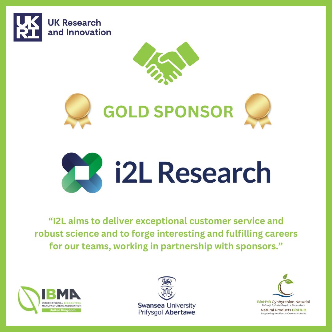 SwanseaBioHUB's tweet image. ✨ Gold sponsor - i2lResearch 🍃

More than 50% of our trials are performed with biopesticides.

✅ Micro-organisms
✅ Semiochemicals
✅ Macro-organisms
✅ Natural product
✅ Plant-incorporated protectants

Sign up for #NewIPM2025 &amp;gt;&amp;gt; bit.ly/42aoGwu

#NaturalProducts #IPM