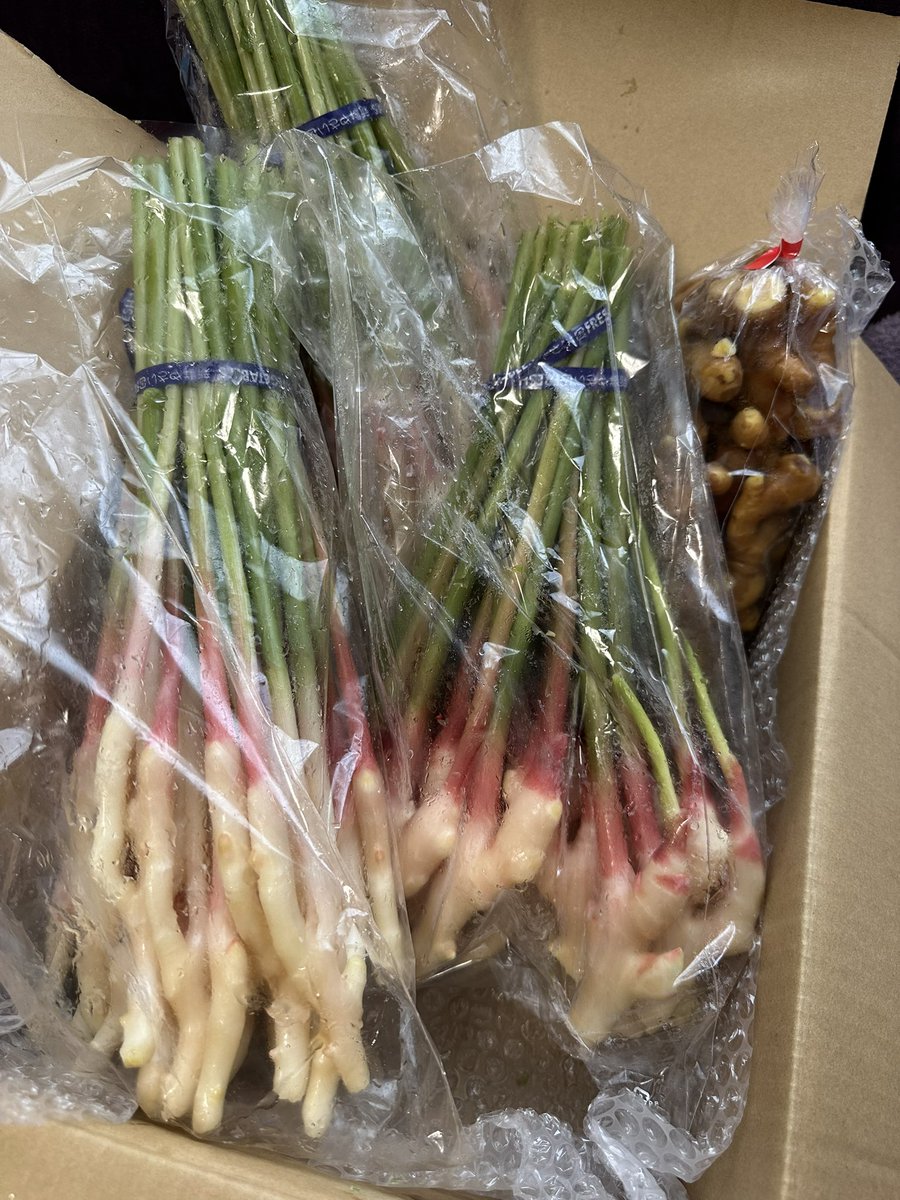 夜ご飯に肉巻き作りながら
もしや足りないかも！？とステーキ焼いて
1.1キロくらいはお肉出したんだけど🐷🐮
びっくりするくらいみんな平らげてくれた😂
パパが帰ってきたな〜って感じがします🥹
静岡から届いた新生姜がほんと美味しい❤️
今年何回送ってもらっただろー終わる悲しい