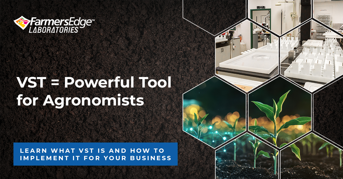 farmers_edge's tweet image. VST isn’t a shortcut—it’s a smarter way to scale agronomy.

Faster insights, precise recs, real value for growers.

🔗 loom.ly/YPgKZWw
#VST #AgRetail #SoilTesting #AgTech #PrecisionAg