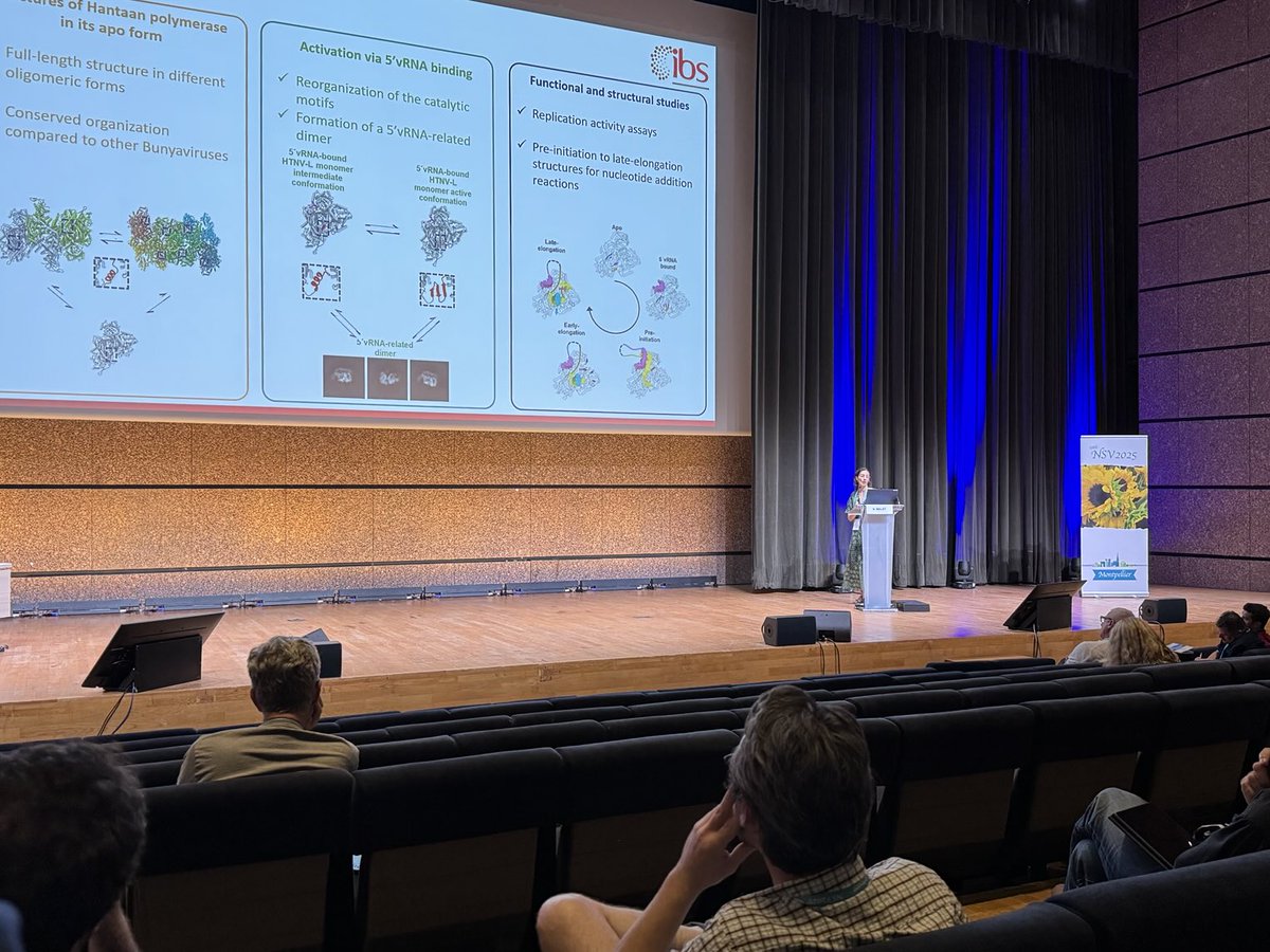 Great talk from Héléne Malet from ⁦<a href="/IBS_Grenoble/">Institut de Biologie Structurale</a>⁩ today at #NSV2025 in Montpellier