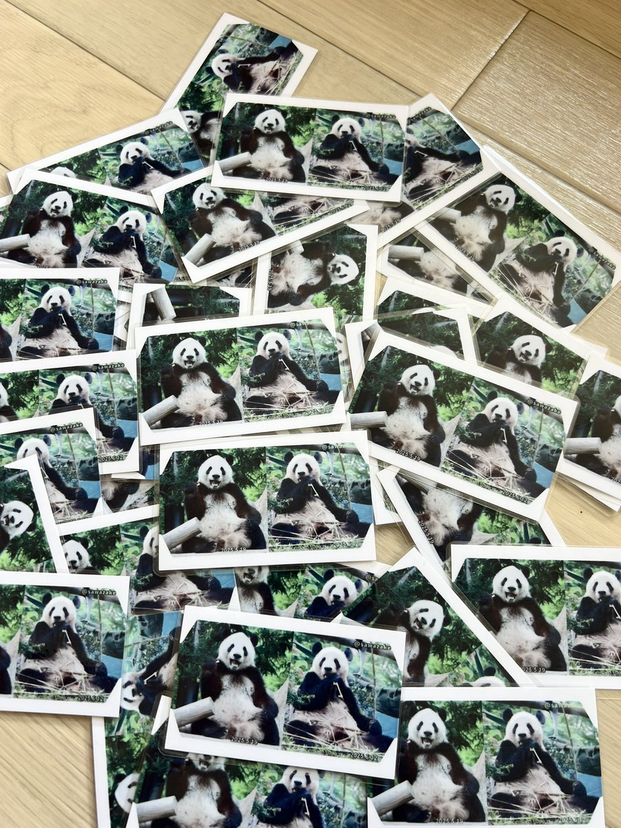 #光子カード　#シャオシャオ　#レイレイ　#シャンシャン
6/23
シャオレイ光子合同誕生日会
おねぇシャンも参加
#シャンシャン #xiangxiang #香香 #ジャイアントパンダ #大熊猫 #パンダ #panda #giantpanda #パンダ好き #上野動物園 #uenozoo #大熊猫香香 #熊猫基地 #雅安 #雅安碧峰峽大熊貓基地 #雅安