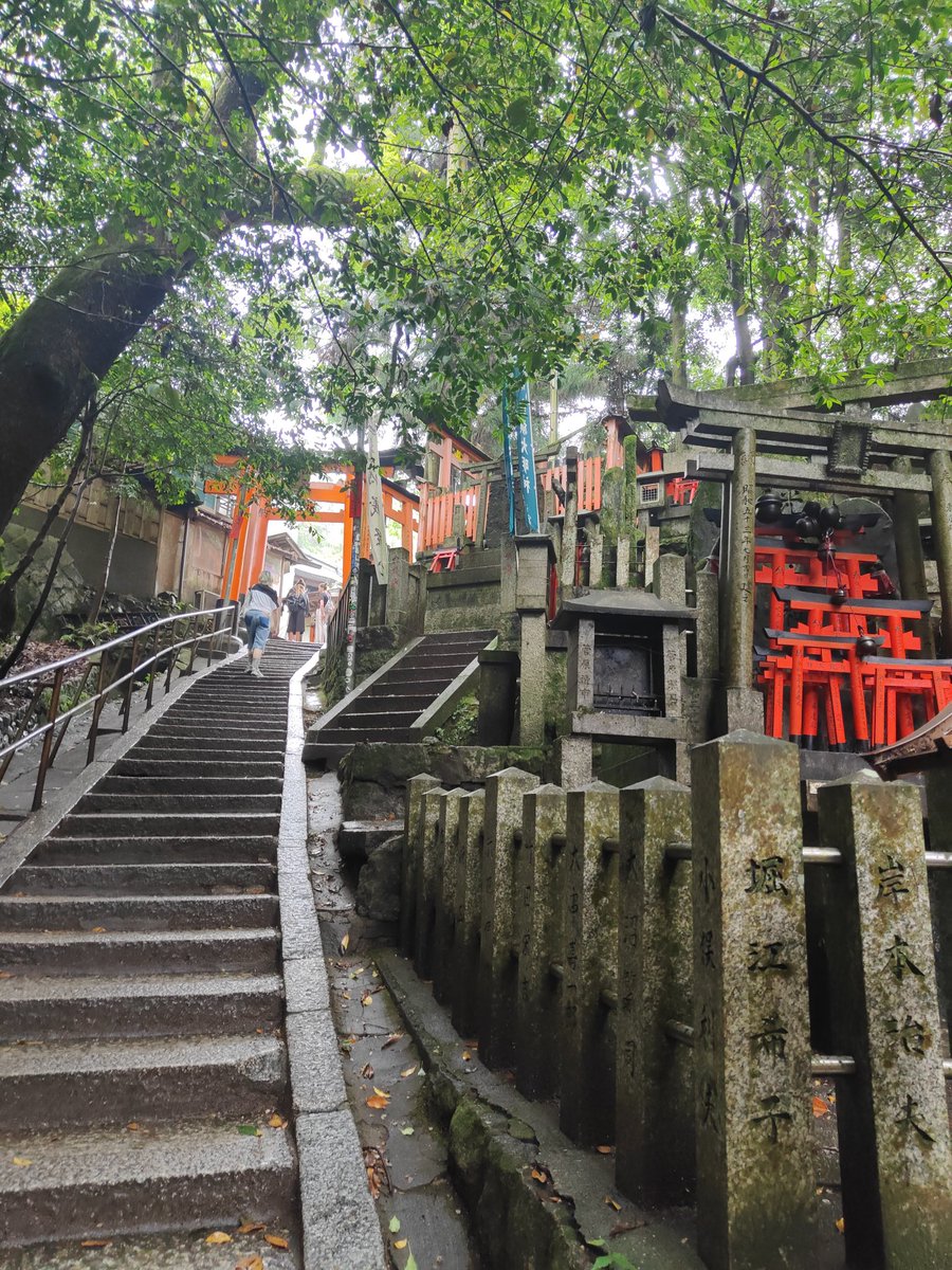 mkdb66's tweet photo. Kyoto https://t.co/LUvOE0768u