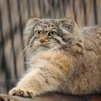 ucubewoman's tweet image. #NewProfilePic