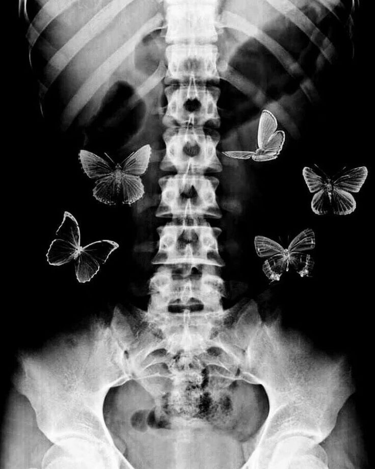 kdrama_menfess's tweet image. •kdm• Rekomendasiin drama/film yang ngasih efek kupu kupu dong 😊