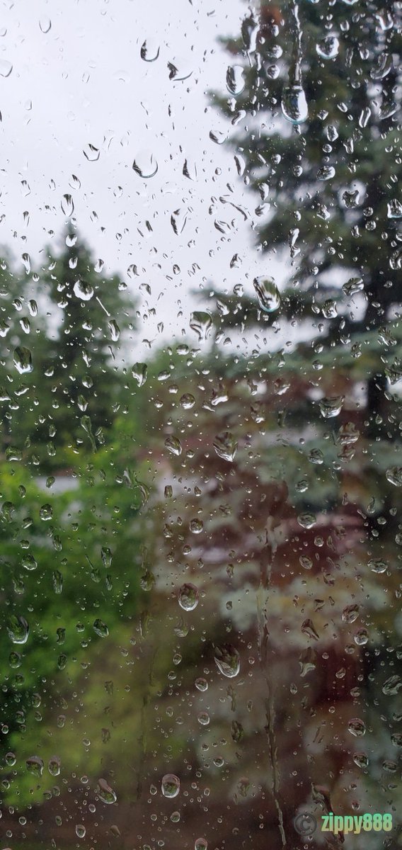 zzippy888's tweet image. 👋  #FirstDaysOfSummer
Pouring rain in Calgary, AB #yyc