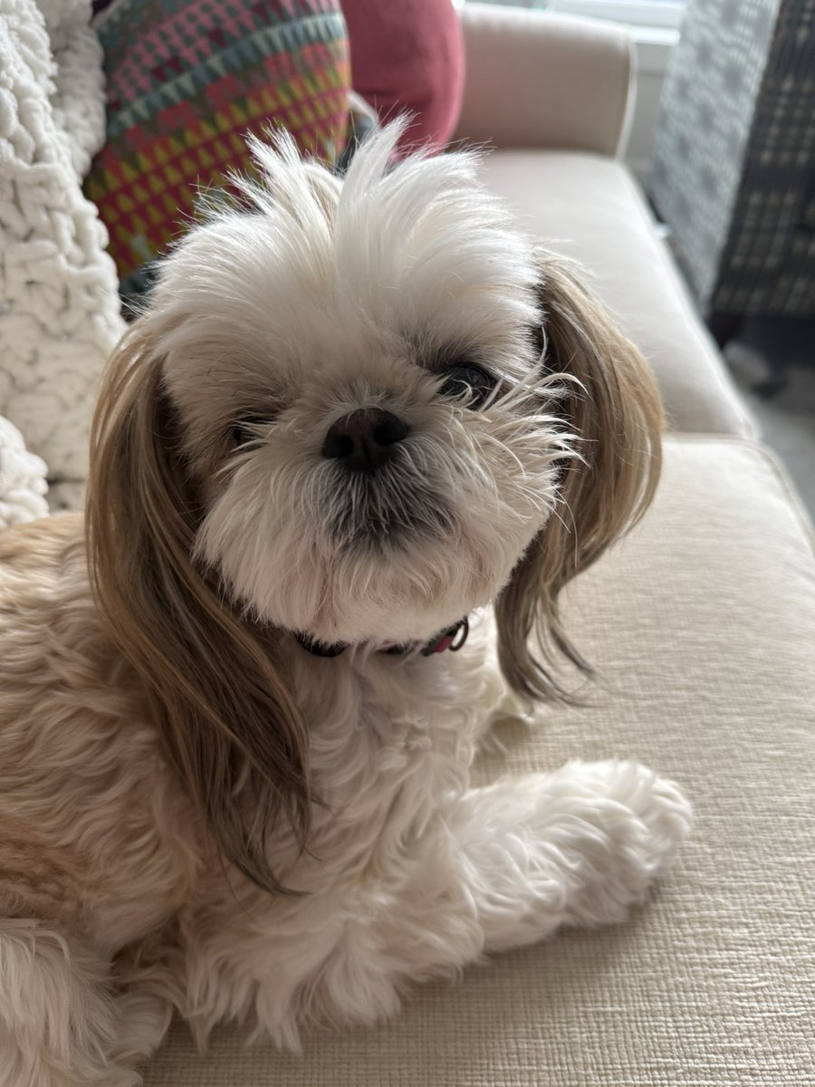 That was a big thunder! ⚡️🌩️Are you concerned? No? Me either.