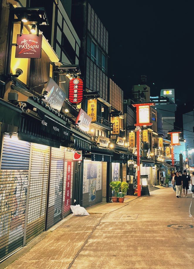 Quiet Asakusa night run.
