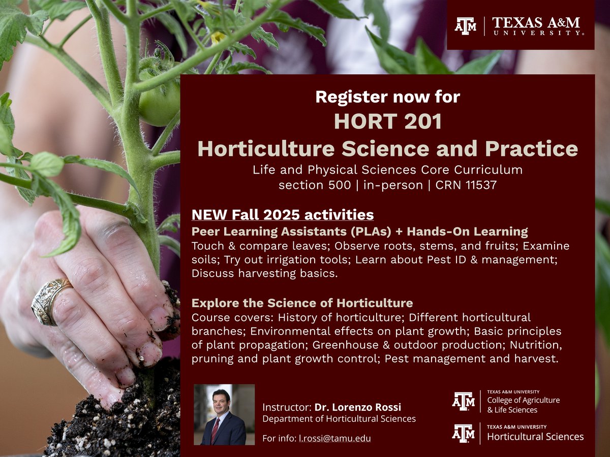 Rossi's Hort Crop Physiology Lab 🍇🍊🍑🫒 (@tamuhortphyslab) on Twitter photo 🌿 Time to register for Fall 2025! <a href="/tamuhort/">Texas A&M Horticultural Sciences</a> HORT 201 in person – Horticultural Science & Practice 🌱
New this semester:
👩🏫 4 PLAs
🍃 Touch leaves and roots, try irrigation tools, ID pests & more!
🍑Explore the science behind plant growth, pruning, propagation & harvest. #TAMU 🌿 Time to register for Fall 2025! <a href="/tamuhort/">Texas A&M Horticultural Sciences</a> HORT 201 in person – Horticultural Science & Practice 🌱
New this semester:
👩🏫 4 PLAs
🍃 Touch leaves and roots, try irrigation tools, ID pests & more!
🍑Explore the science behind plant growth, pruning, propagation & harvest. #TAMU