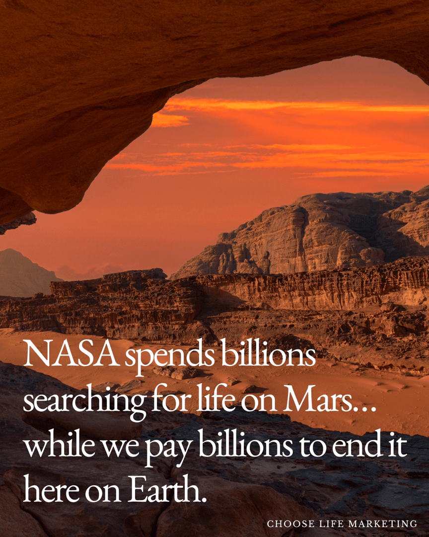 ChsLifeMktg's tweet photo. NASA: ‘A microbe on another planet? PROOF OF LIFE!’
Pro-abortion activists: ‘A baby’s heartbeat? Doesn’t count.’

Science doesn’t change—just people’s agendas. https://t.co/cXDkQfjzct