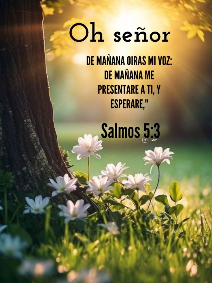 CanizalesMaryam's tweet photo. 🥰BENDECIDO DIA PARA TI🙌🏻HOY PUEDES ACERCARTE A DIOS,EL NO RECHAZA A NADIE,SI TAN SOLO SUPIERAS LO QUE TIENE PARA TI,NO DUDARÍAS EN VENIR❤SU AMOR TE ENVUELVA AHORA Y TE DE PAZ.
#BuenosDías 
#FelizLunes 
#JesusTeAma https://t.co/0e0zWox9Cu