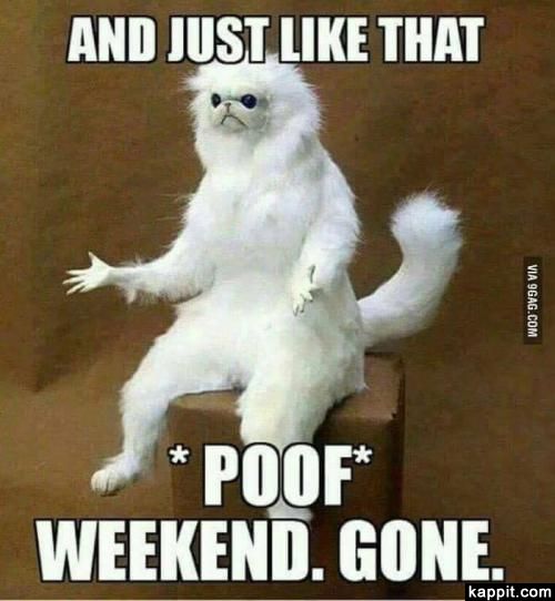 sassywriterpub's tweet photo. #MemeMondayMadness
#StartTheWeekWithMemes
#LaughAwayMonday
#MondayMoodMemes
#DankStartToTheWeek
#MemeMonday
#StartTheWeekWithMemes
#LaughAwayMonday
#MondayMood
#sassylaruedesign
#sassylarueauthor
#mercernorris
#authordonnarmercer
#sassywriterpublishing
#missingweekend https://t.co/9BabTSzxoH