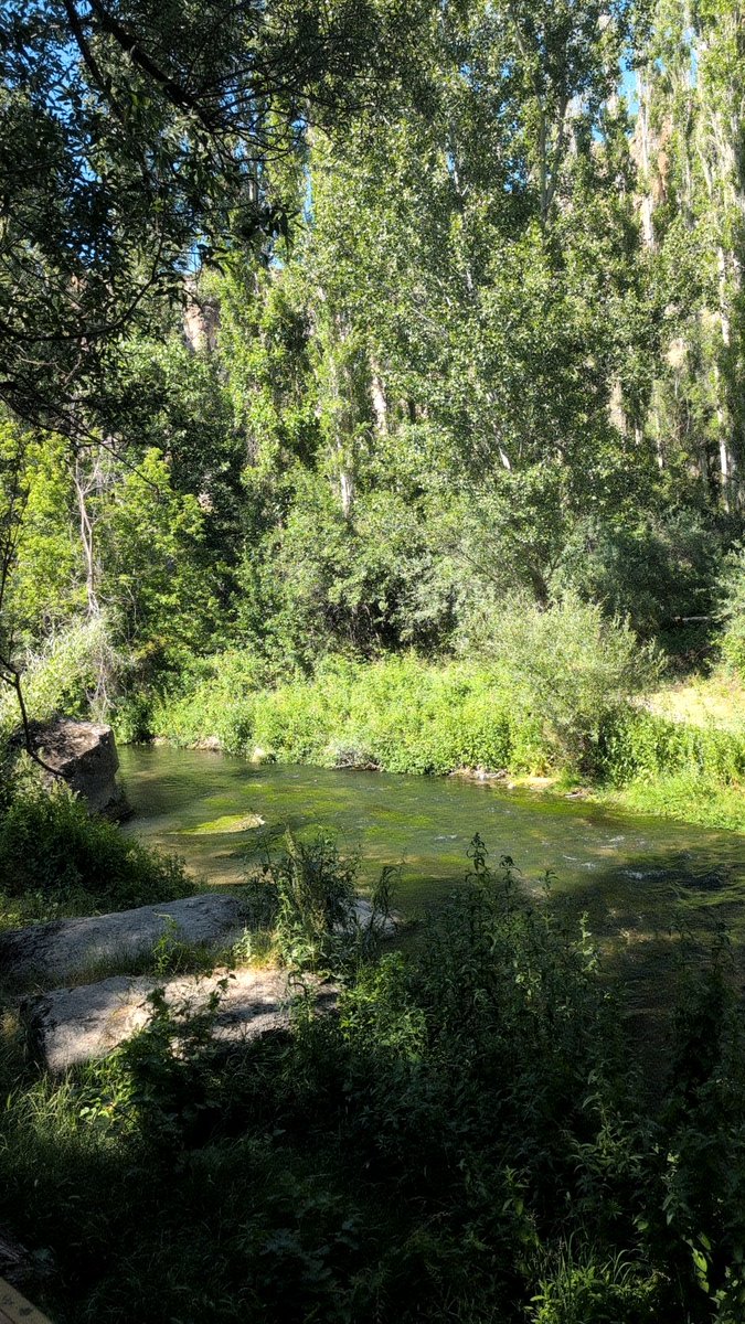 高氧让我快乐 ~ 🌿💚