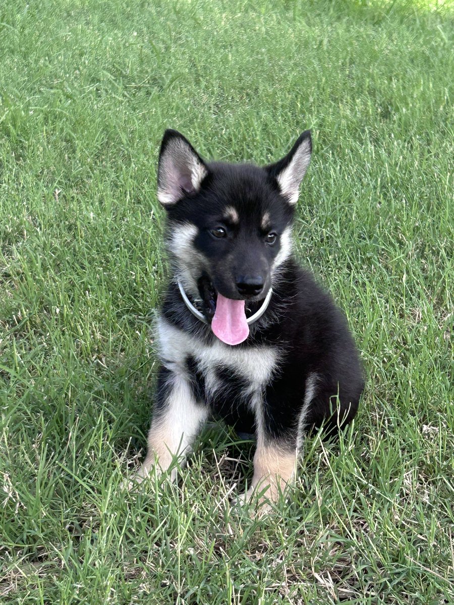 Y’all welcome Kino to the Fam 😎