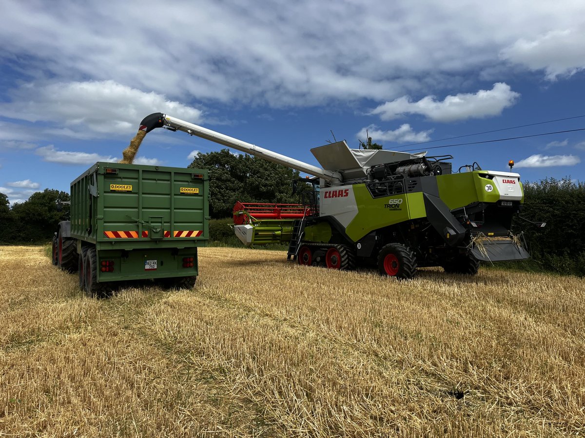 An early start to the harvest. Joyeau for crimping coming off in the mid 20’s.