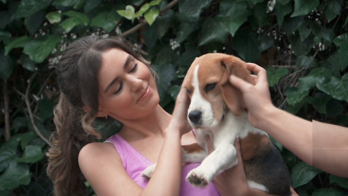 AmFodalo7's tweet photo. Did this sweet doggy escape from the dastardly experimental labs that Dalton is running???🐶
Not that I care one wit! 😆🙄
This is the dumbest, slowest storyline in awhile on #GH 🤦♀️💤
There is like NOTHING happening here! 😴 Hello??!! #KnockKnock #SlowSummer 🥱 https://t.co/m0QNjT6XXo