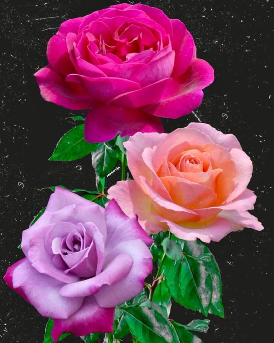 #StartsFollow
<a href="/florchicana/">Selene  𝕏🖤Perfectly imperfect 🖤❌DM❌</a>
<a href="/Da__Eliz/">Eli👸</a>
<a href="/Aa_ban1/">▄︻ #TmGriffins🦅︻▄</a>
<a href="/nbea_h/">#𝕾𝖚𝖕𝖊𝖗𝕱𝖗𝖎𝖊𝖓𝖉𝖘 #𝕿𝖔𝖕𝕱𝖗𝖎𝖊𝖓𝖉𝖘</a>
<a href="/Firefly13X/">QueenLG</a>
<a href="/MarcelaErcia/">🕉MARCE🐉⚖ #MarceTeAyuda🔮#MarceLive🔄 Meme y Popi</a>
<a href="/nunespereirabr/">Efeito Borboleta</a>
<a href="/drikinhapower/">Fodyanne</a>
<a href="/glmsjd/">𝑺𝒂𝒋𝒋𝒂𝒅 ✨</a>
<a href="/Zar_43/">ZARRAR ضرار #ΛᒪBΛЯQ⚡@𝙕𝙖𝙧_𝟰𝟯</a>
<a href="/aro_rojas/">Tiger 💚👮‍♂️#ActiveGains @f_a_r_a_h_9 @sitaravir</a>
<a href="/ZagoZago3/">Josefina2</a>
<a href="/PetalsStyle/">Pétala⛔️NO GRUP⛔️</a>
<a href="/XEpifania3/">Sophie</a>
<a href="/S2_CarlaS2/">꧁༺Carla༻꧂#EliFriends━★✼☆</a>
<a href="/Luna_Om90/">Luna</a>
<a href="/nuvisionquestt3/">🦅NU_VISION_QUEST_TYPE3🏹</a>
<a href="/PAYthe_PIPER/">PIPER #MAGA GAINS</a>
<a href="/RobertPage68/">#EliFriends 👉Robert👈</a>
<a href="/ma_yeth/">[★][★]</a>
<a href="/ToteronT/">tote Cepgreen</a>
<a href="/WALLI27/">Jhon f perez🎶🎸🚵☯</a>
<a href="/zahoorap1/">zahoor ahmed</a>