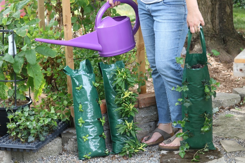 A.M.A. Horticulture Inc. tweet media