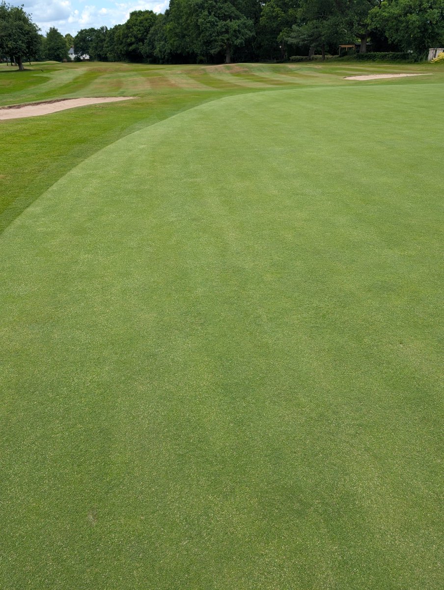 Bramhallgreens's tweet photo. Another 20kg of 007 out today, about 6 tonnes of dressing afterwards, all brushed in and a roll across the surface too. Greens very lightly verti cut first, then cut. @MoretonGerminal https://t.co/1Dh2vPK9jA