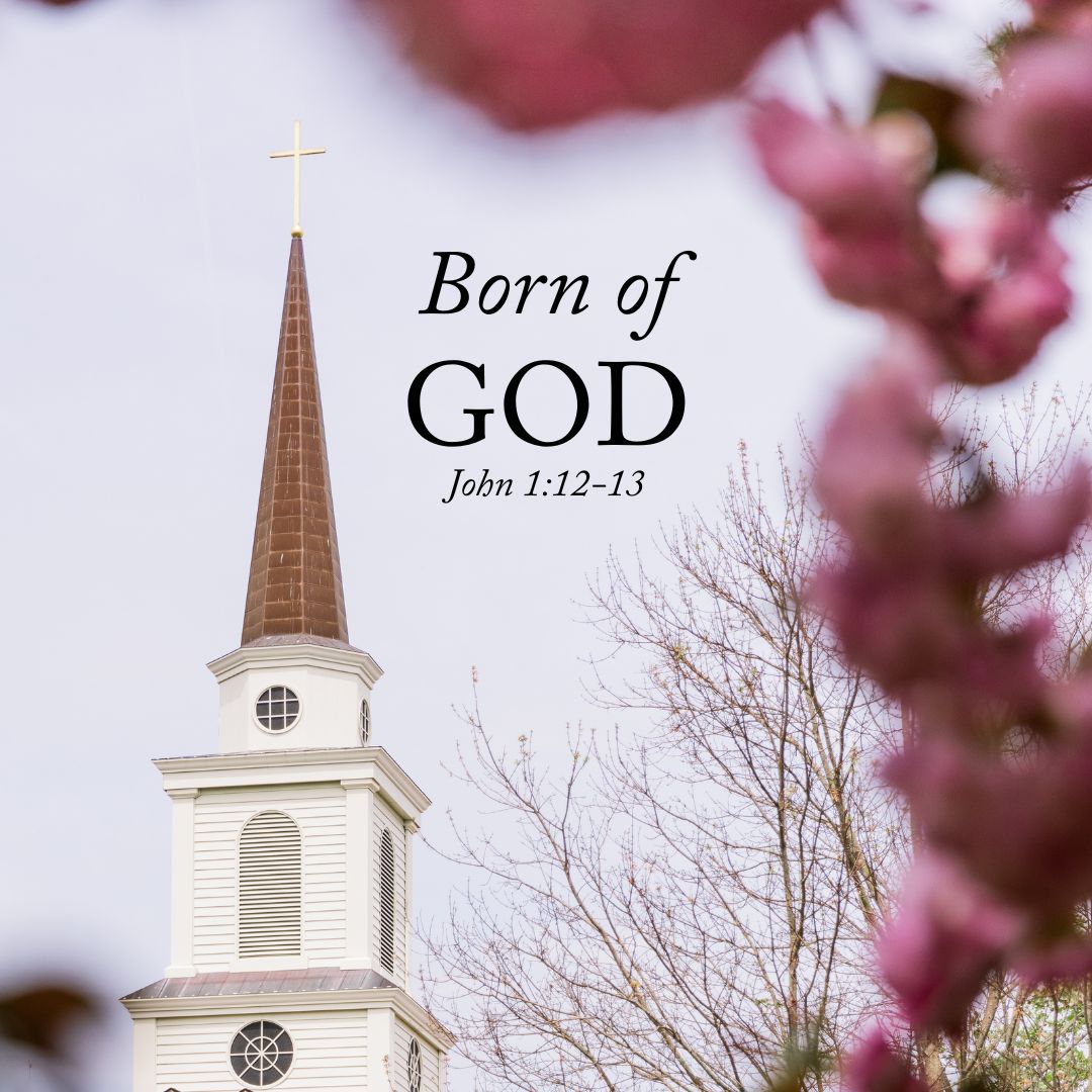 #MondayMotivation “Yet to all who did receive him, to those who believed in his name, he gave the right to become children of God— children born not of natural descent, nor of human decision or a husband’s will, but born of God.” John 1:12-13