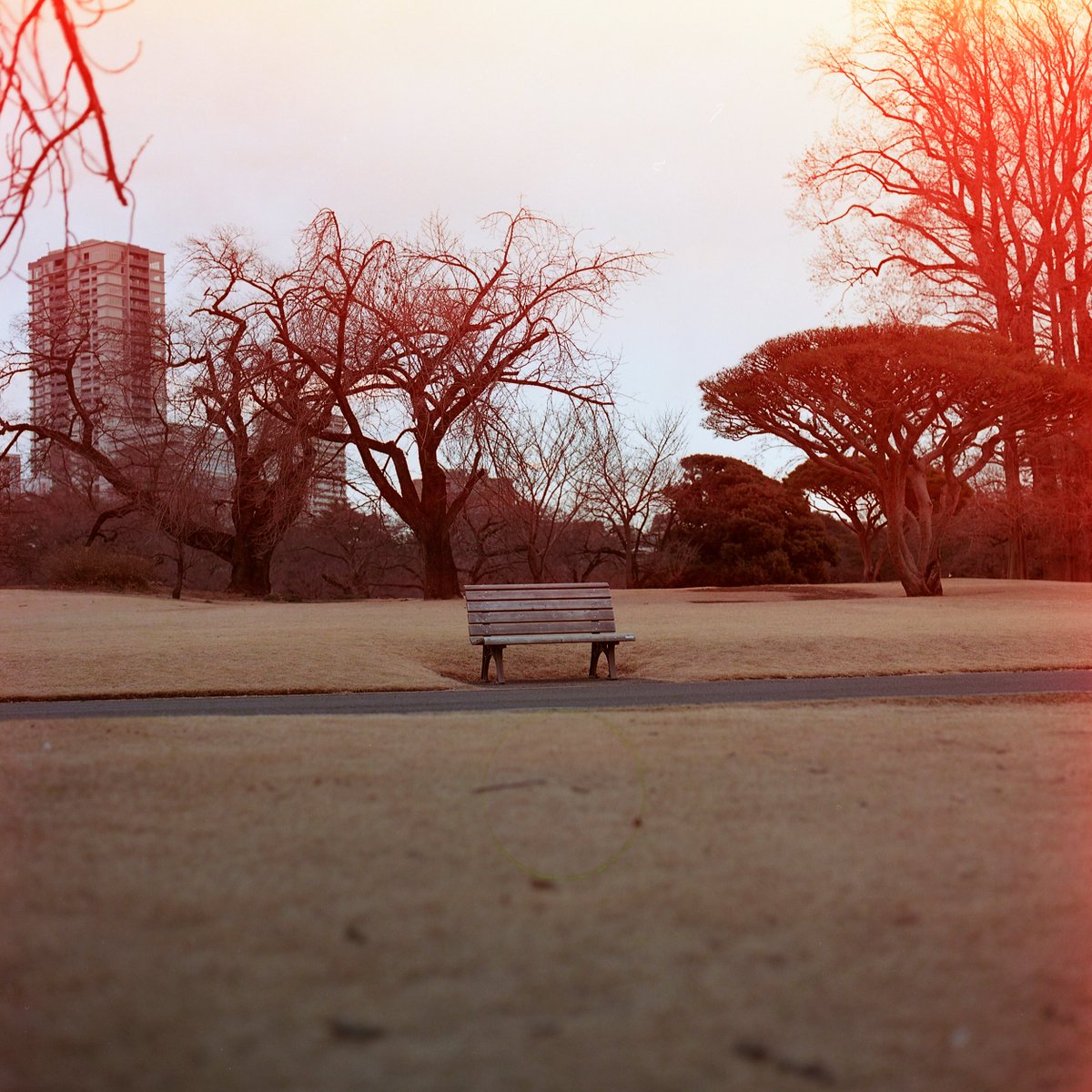kachi2_namako's tweet photo. 最後の巻取りで事故って感光しちゃったけどこれはこれで
カメラ #Hasselblad 500C/M
フィルム #CatLABS X FILM 100 COLOR
#フィルムカメラ #filmphotography #写真好きな人と繋がりたい #カメラ好きな人と繋がりたい https://t.co/4iFmZs5DFA