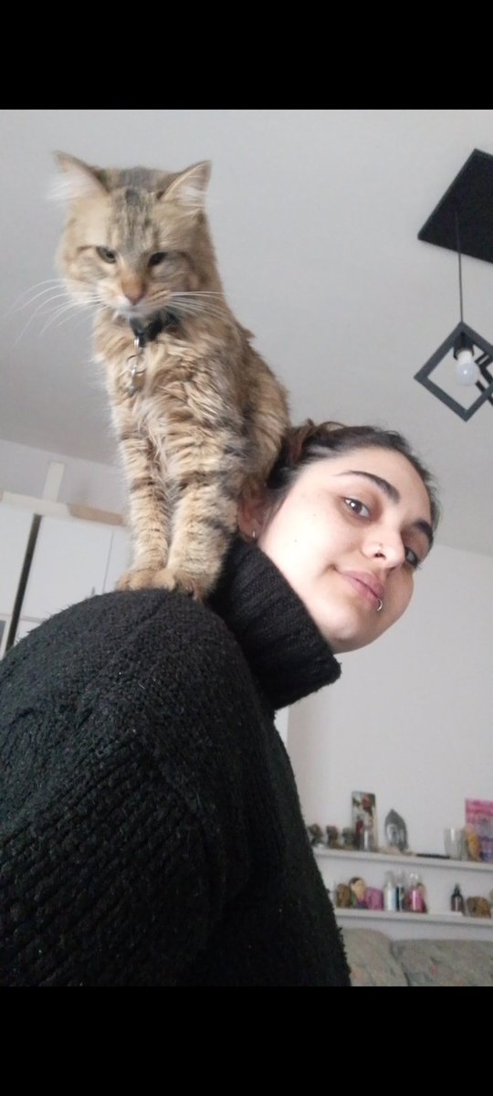 #nadiedicenada brina 😍