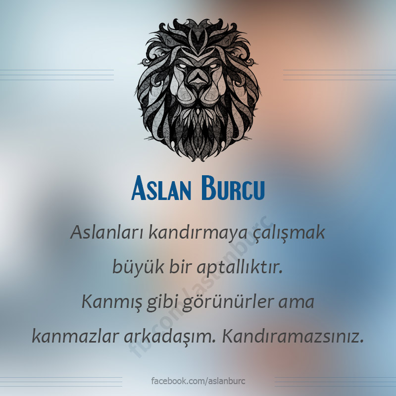 Aslan Burcu (@aslanburclari) on Twitter photo 