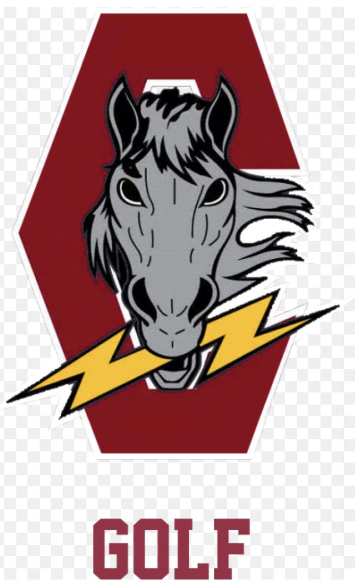Coaching Vacancy
- Chancellor High School is looking for a Head Golf Coach.
If interested please email Len Carlson, AD, at lcarlson@spotsylvania.k12.va.us
- Tryouts start July 24th and the season ends early October.
<a href="/FLSVarsity/">FLS Varsity</a> <a href="/ChancellorHS/">Chancellor High</a> <a href="/ChargerChaos/">Charger Chaos</a>