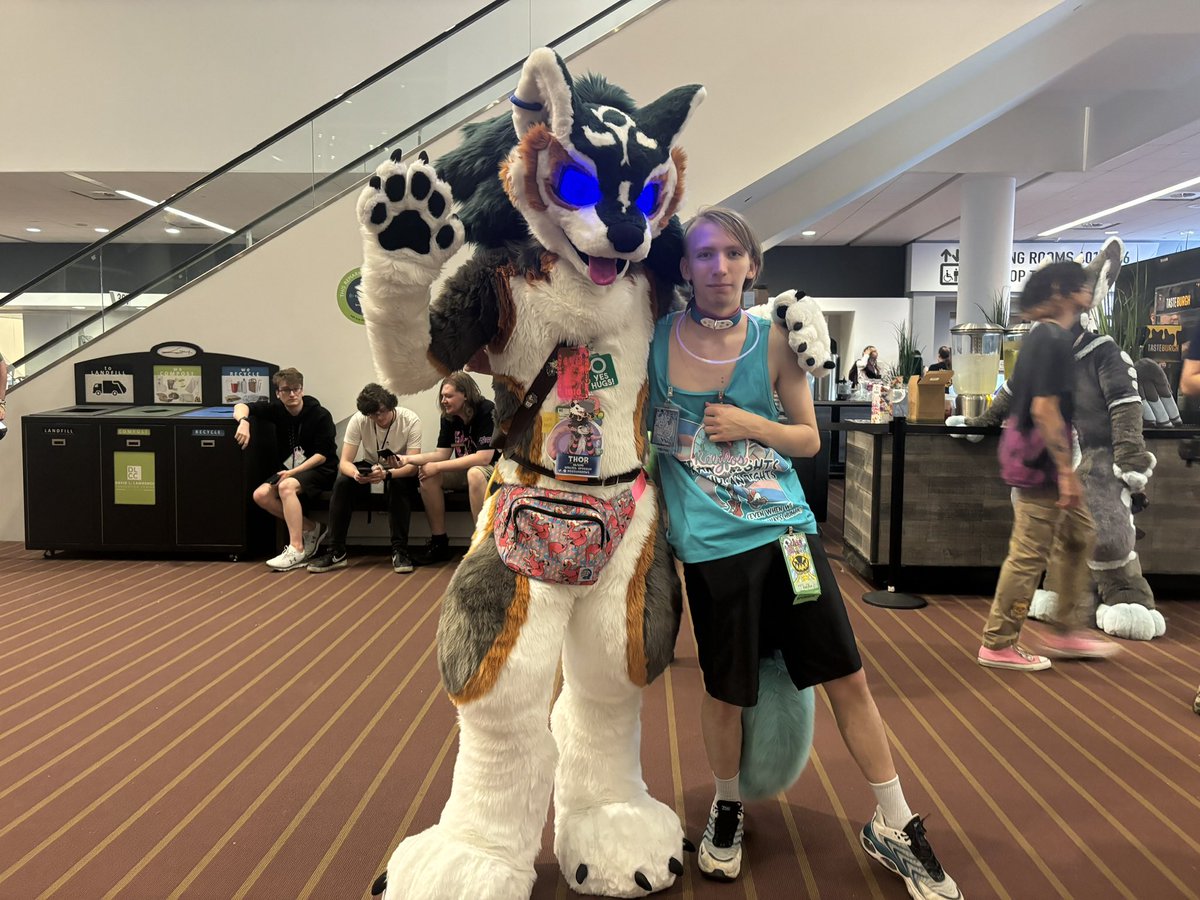 Kélyfos➡️Anthrocon2026 tweet media