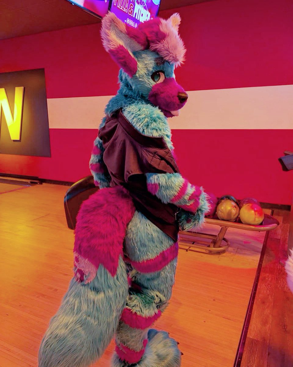 Kélyfos➡️Anthrocon2026 tweet media