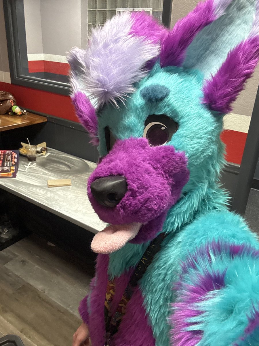 Kélyfos➡️Anthrocon2026 tweet media