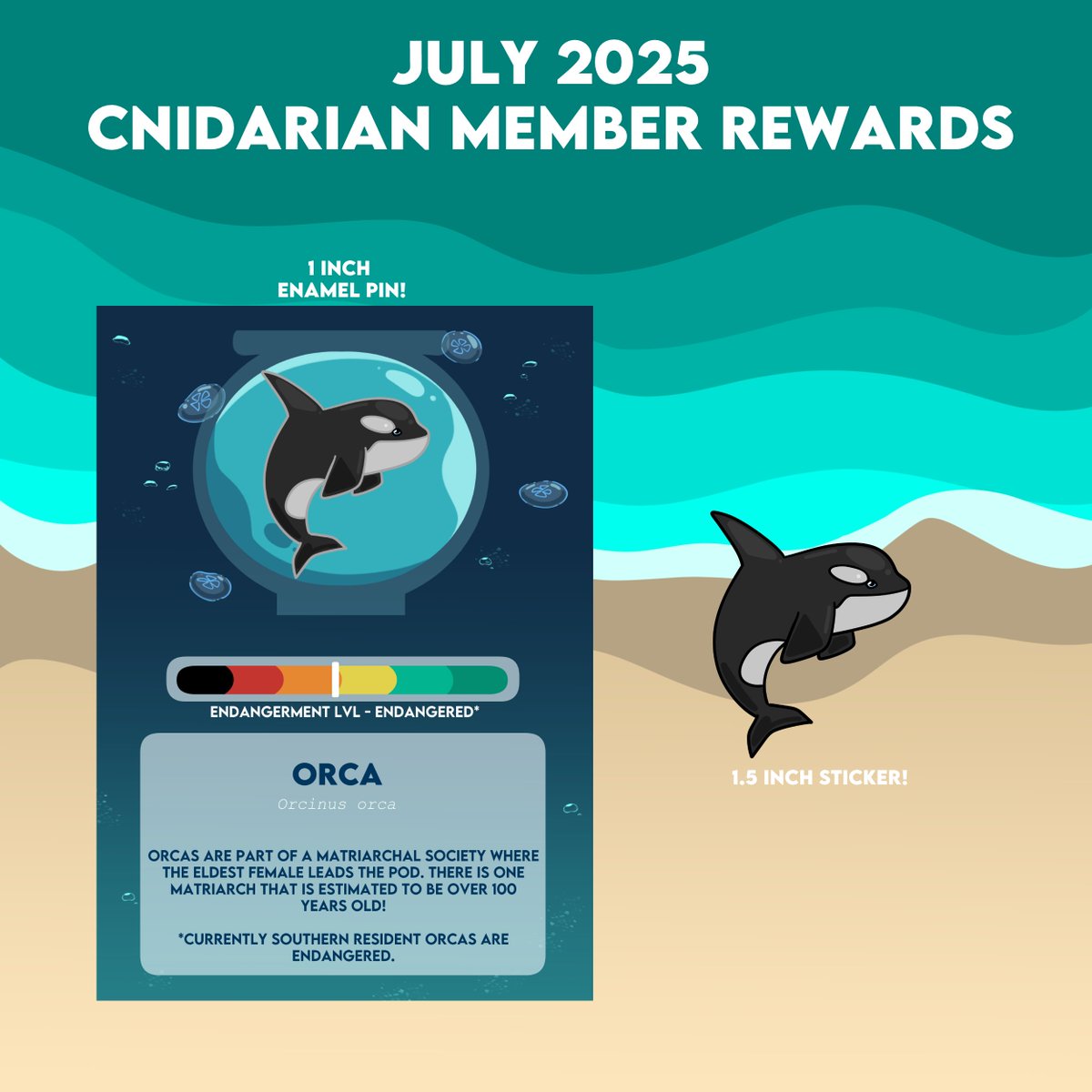 kagebros's tweet image. Marine Animal of the Month - July

ko-fi.com/kagebros/tiers