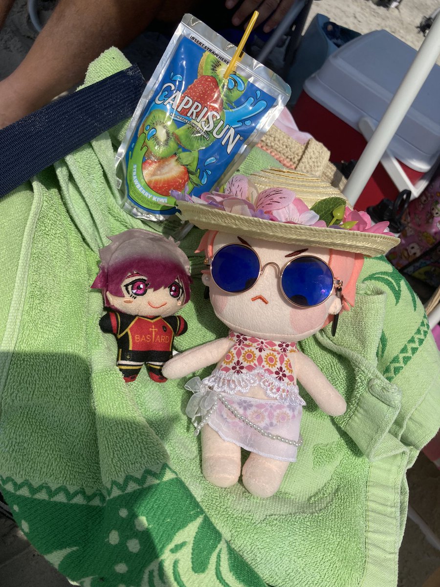 ShuglysWorld's tweet image. We’re at the beach today~