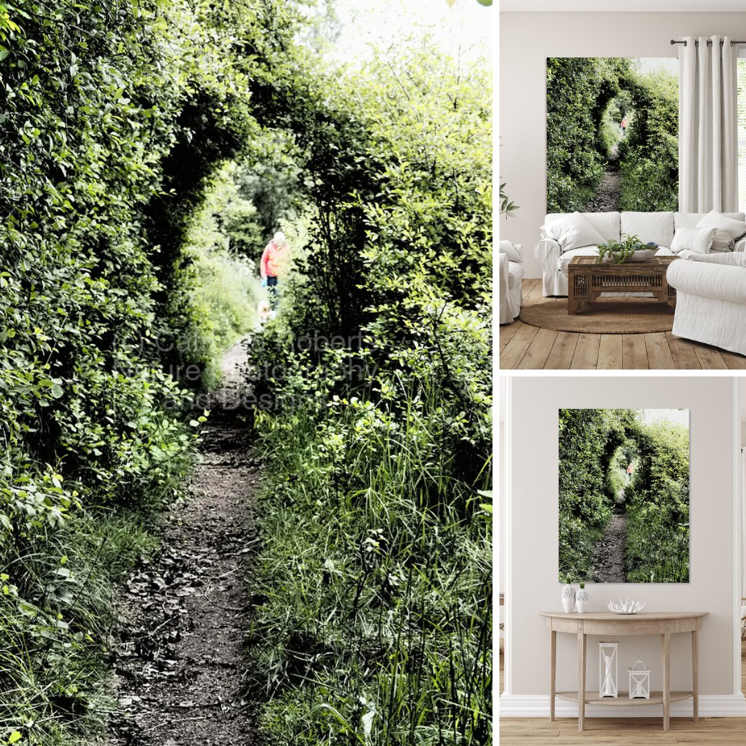 Scottish Highlands Spring Nature Trail

Canvas Print-
pictorem.com/2389263/scotti…

Canvas Print-
catriona-roberts.pixels.com/featured/scott…

Canvas Print-
artpal.com/catrionarobert…

More-
pictorem.com/gallery/Catrio…

catriona-roberts.pixels.com

artpal.com/catrionarobert…

…rionarobertsphotographyanddesigns.com

#art #homedecor