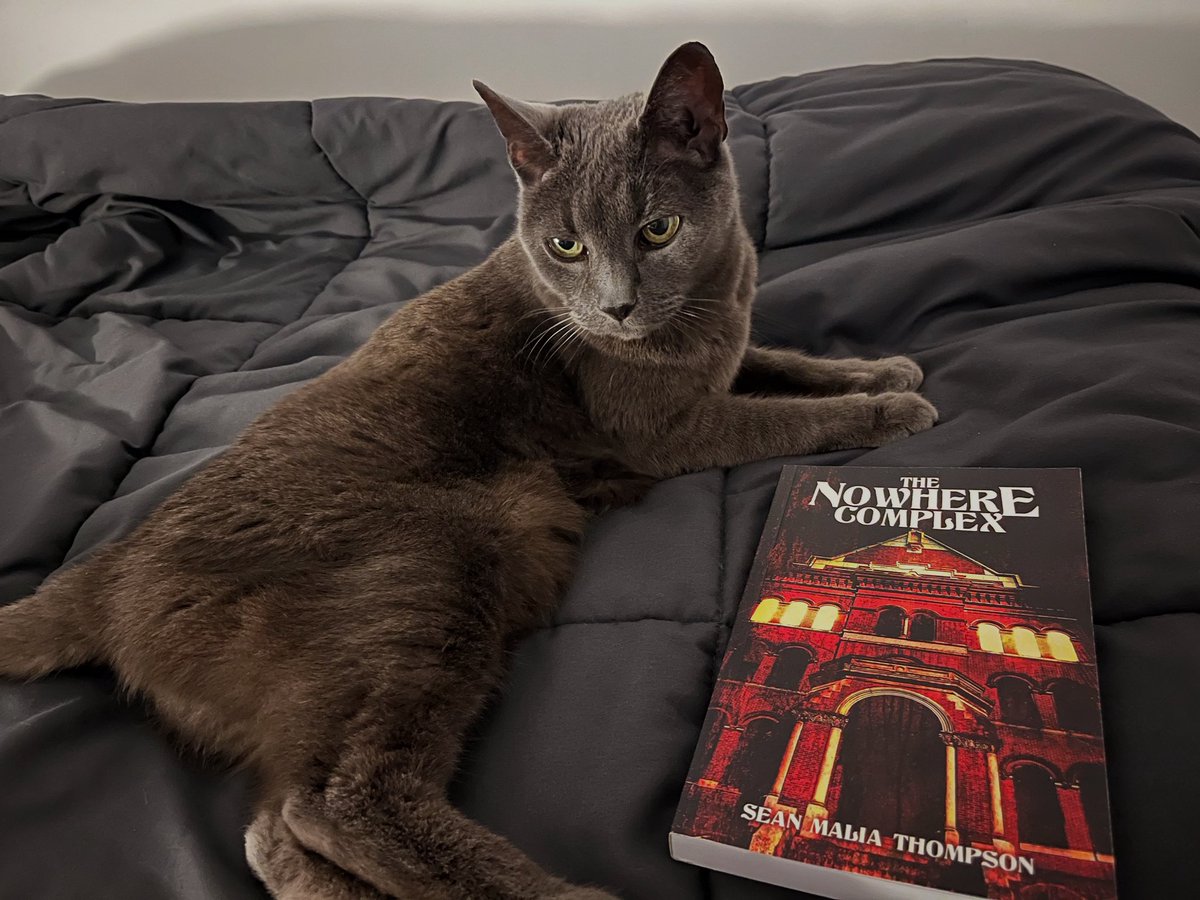 Cool cats read The Nowhere Complex.
#horrorbooks #CatsOfTwitter #spookybooks #silenthill #gothichorror